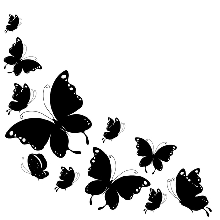 black butterfly, isolated on a whiteのイラスト素材