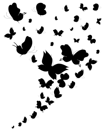 black butterfly, isolated on a whiteのイラスト素材