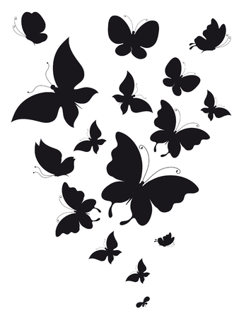 black butterfly, isolated on a whiteのイラスト素材