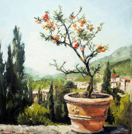 Italian landscape - Italy -Tangerine tree - beautiful landscapeの写真素材