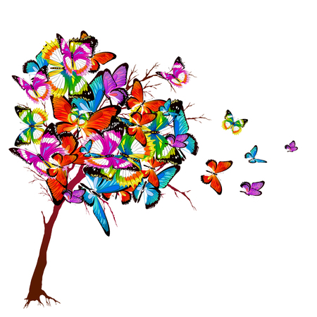 beautiful color butterflies,set, isolated  on a whiteのイラスト素材