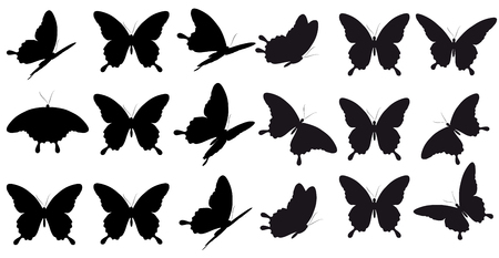 black butterfly, isolated on a whiteのイラスト素材