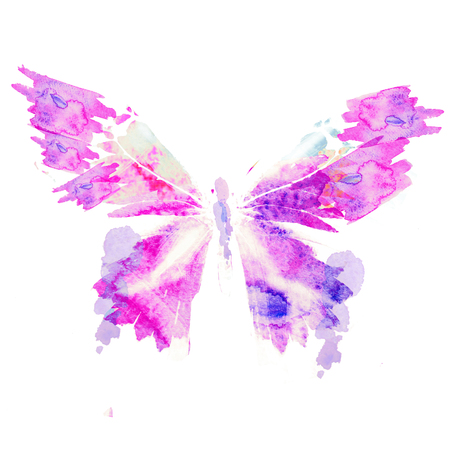 watercolor butterfly isolated on a whiteの写真素材
