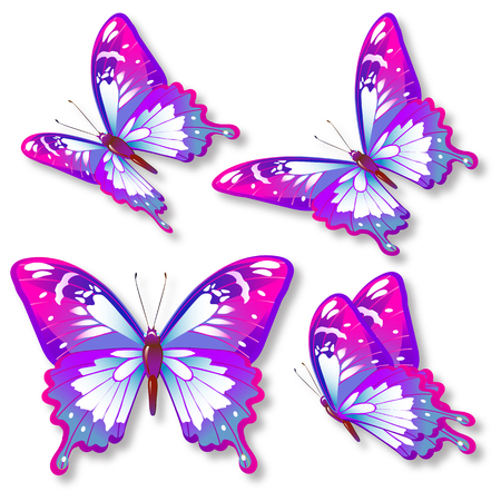 beautiful pink butterflies, isolated  on a whiteのイラスト素材