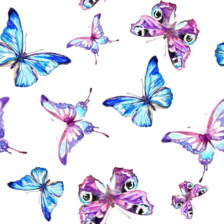 Pink and blue watercolor butterflies isolated on a white backgroundの写真素材