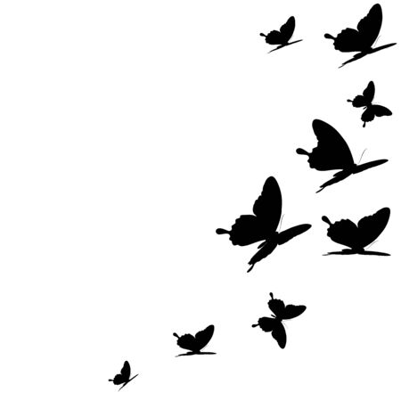 Black butterfly isolated on a whiteのイラスト素材