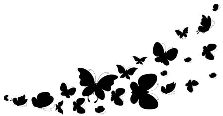 black butterfly, isolated on a whiteのイラスト素材