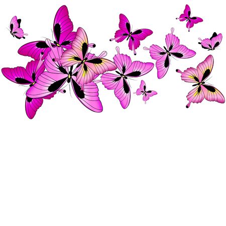 beautiful pink butterflies, isolated  on a whiteのイラスト素材