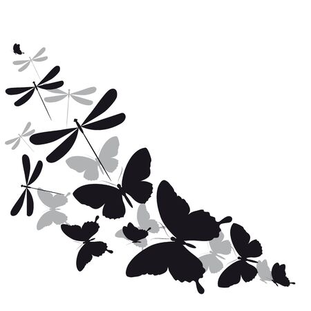 black butterfly, isolated on a whiteのイラスト素材