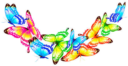 beautiful color butterfly, isolated on a whiteのイラスト素材