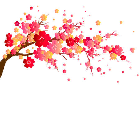 Cherry blossom treeのイラスト素材