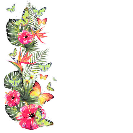 magnolia branch, pattern, beautiful pink flowers, flowers isolated on a white background, vintageの写真素材