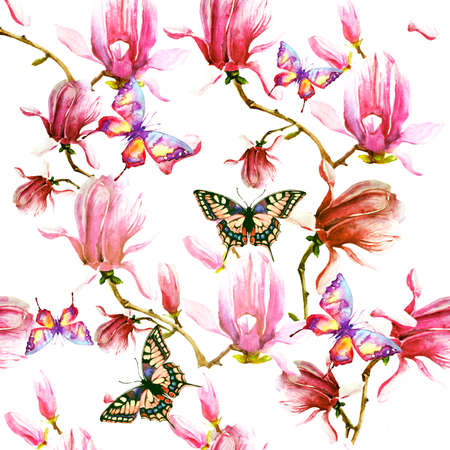 magnolia branch, pattern, beautiful pink flowers, flowers isolated on a white background, vintageの写真素材
