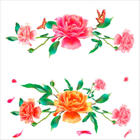 beautiful pink flowers, peony, watercolor, isolated on a whiteのイラスト素材
