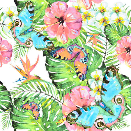 beautiful pink butterfly, watercolor, isolated on a white backgroundの写真素材