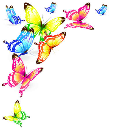 black butterfly, isolated on a whiteのイラスト素材