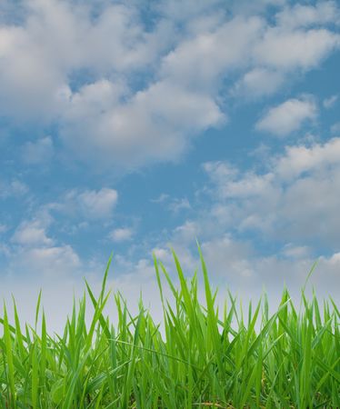 background of cloudy sky and grass の写真素材