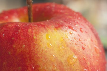 red apple with drops of close 
