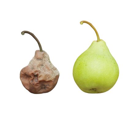 Fresh and rotten pears の写真素材