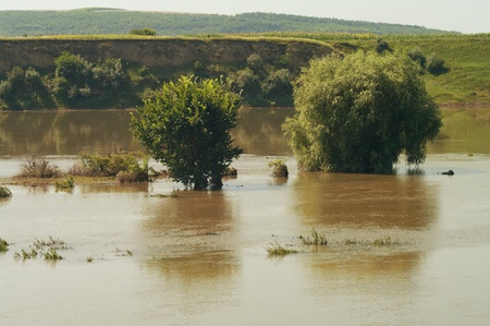 Flood の写真素材