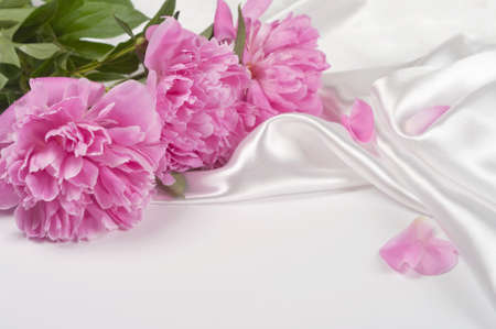 Bunch of peonies の写真素材