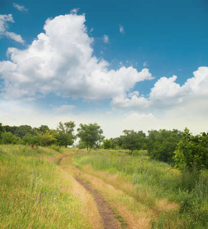 Summer landscape with green grass, road and clouds の写真素材