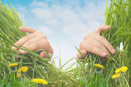 spring backgroundの写真素材