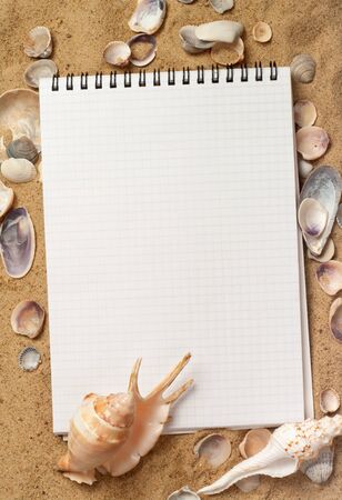 Messages between sands and shells の写真素材