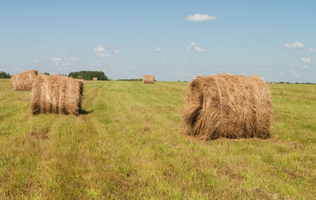 haystack on a field 