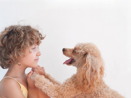 Young girl with her toy Poodle 