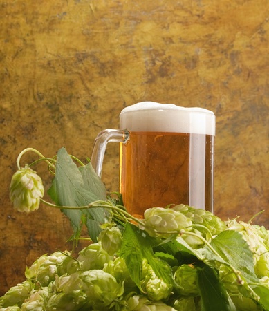 Beer with hops の写真素材