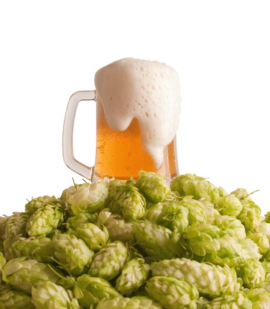 A glass with beer and a hop isolated on a white background の写真素材