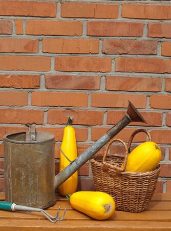 an old watering can  basket and zucchini against the old brick wallの写真素材
