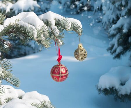 Christmas balls on the fir の写真素材