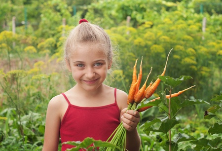 young girl working in vegetable gardenの写真素材