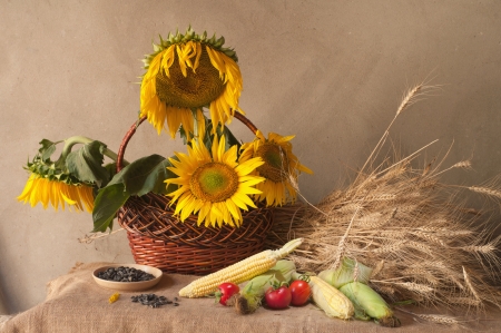still life with sunflowers, wheat and cornの写真素材