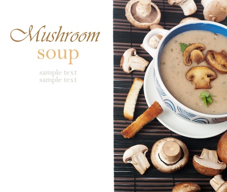 soup of mushrooms の写真素材