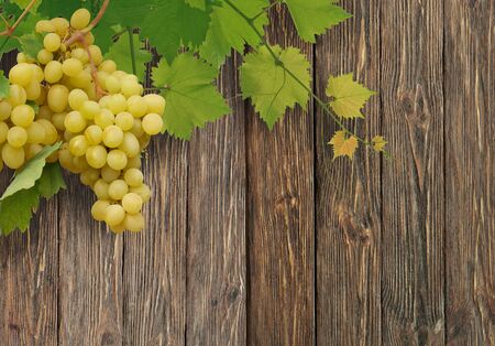 vine on a wooden  backgroundの写真素材