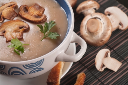 Mushroom cream soupの写真素材
