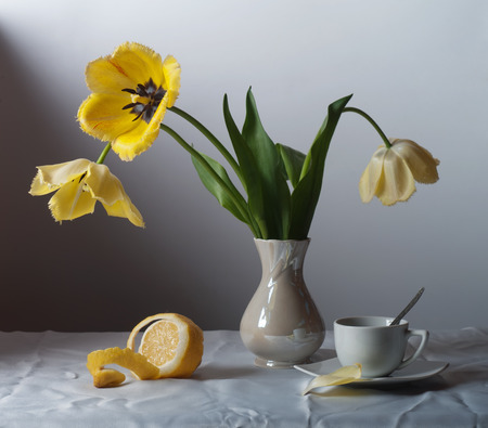 Still life with yellow tulipsの写真素材