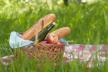 picnic setting on green grassの写真素材