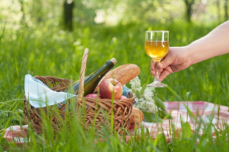picnic setting on green grassの写真素材