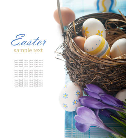 easter eggs with spring flower on white backgroundの写真素材