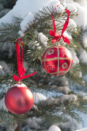 Christmas balls on the firの写真素材