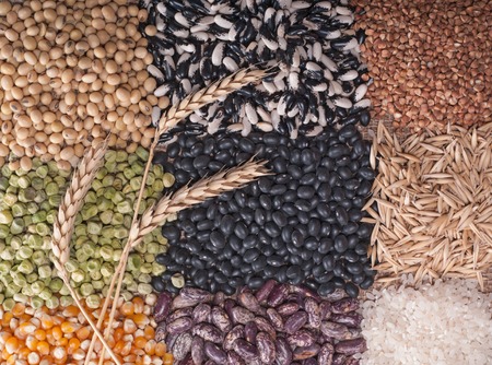 Cereal grains , seeds, beansの写真素材