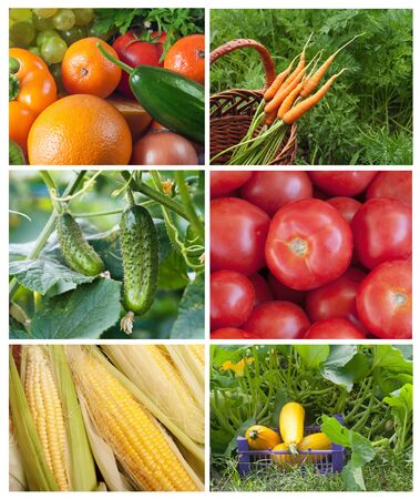 Food colage seriesの写真素材