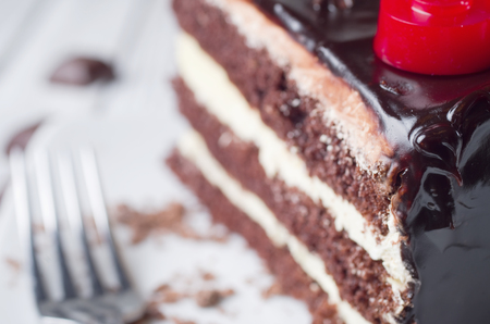Delicious chocolate cake on plate on table on light backgroundの写真素材