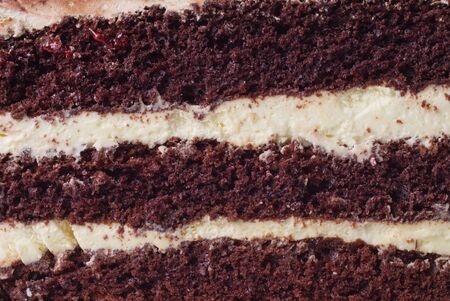 Chocolate cakeの写真素材