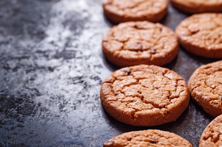 Gingersnap cookies for Christmas on a Baking Panの写真素材