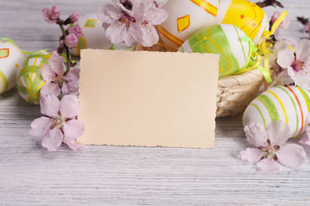 easter eggsの写真素材